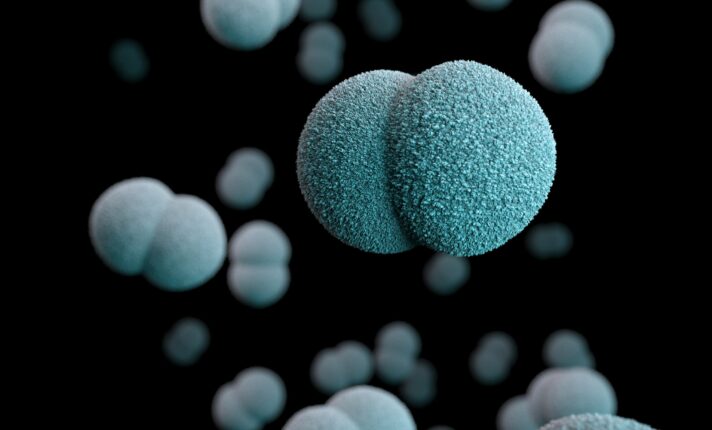 OMS emite alerta sobre a disseminação global de mpox; Irlanda registrou cinco casos em 2024