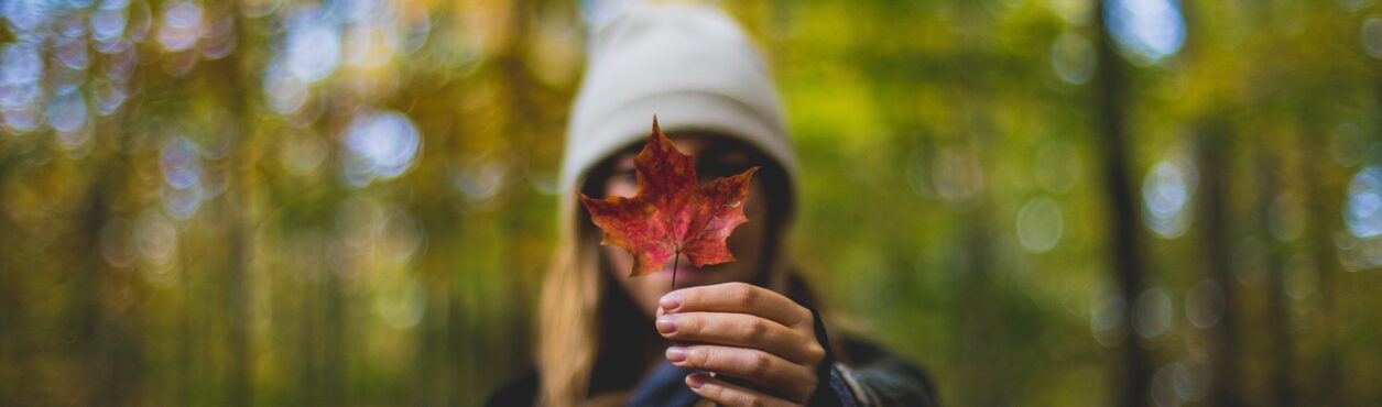 Curso de inglês no Canadá: tipos de programa, quanto custa e escolas