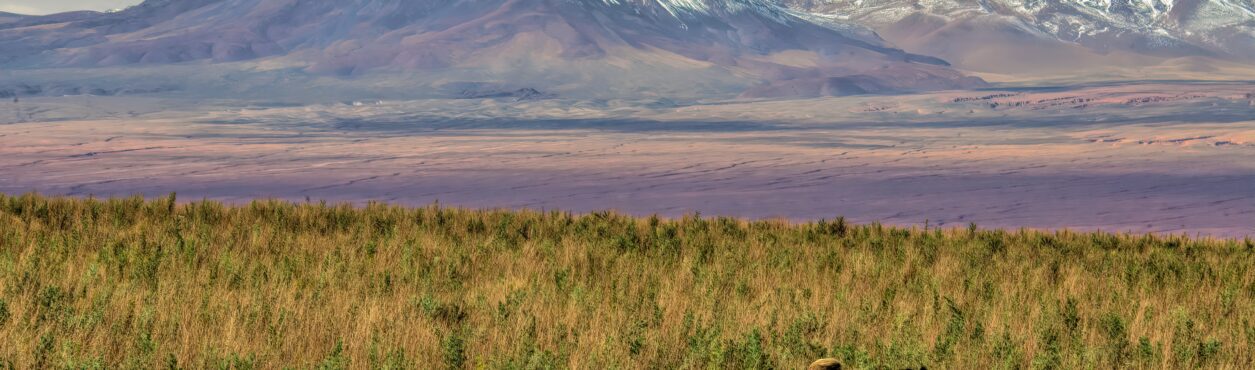 Mochilão pelo Chile: rotas, cidades, dicas e melhor época para viajar