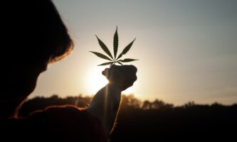 Projeto de lei poderá legalizar porte de maconha na Irlanda