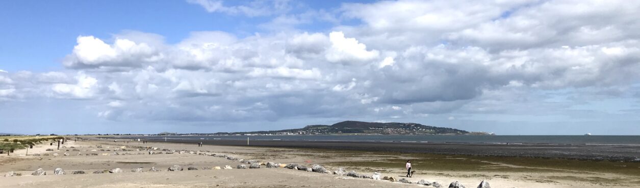 Praia de Dublin, Bull Island será fechada parcialmente para visitantes