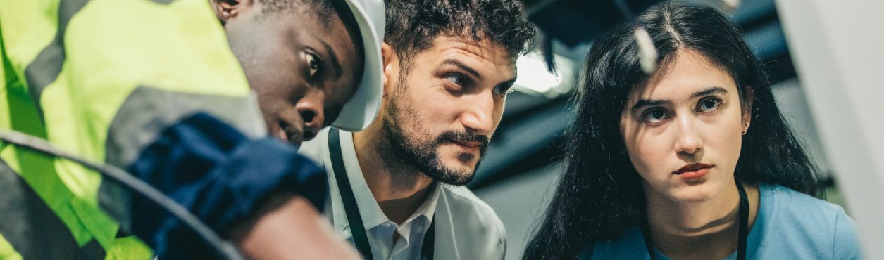 Emprego na Irlanda: nível recorde de funcionários em empresas apoiadas pelo governo