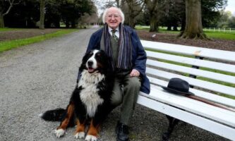 Presidente da Irlanda: quem é Michael Higgins e por que ele é tão querido