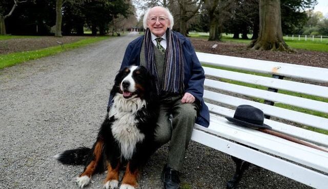 Presidente da Irlanda: quem é Michael Higgins e por que ele é tão querido