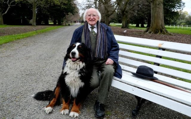 Presidente da Irlanda: quem é Michael Higgins e por que ele é tão querido