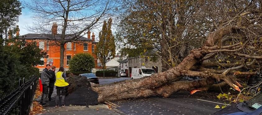 80.000 propriedades sem energia e serviços de ônibus e trem interrompidos após tempestade atingir a Irlanda