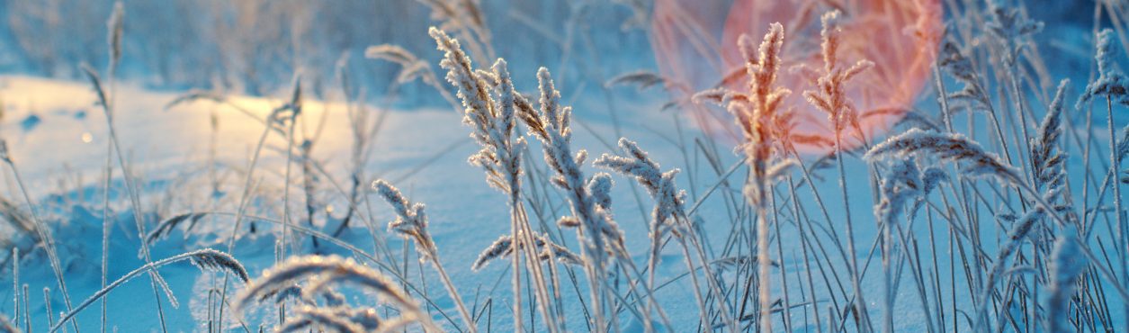 Alerta de frio e gelo na Irlanda: Met Éireann emite aviso amarelo para todo o país entre sexta e sábado