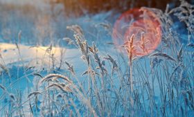 Alerta de frio e gelo na Irlanda: Met Éireann emite aviso amarelo para todo o país entre sexta e sábado