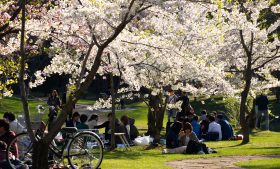 5 razões para começar seu intercâmbio na Irlanda na primavera