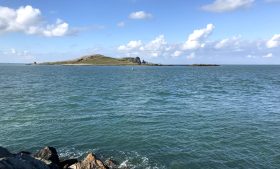 Ireland’s Eye: ilha selvagem perto de Dublin reúne focas, aves marinhas e ruínas medievais