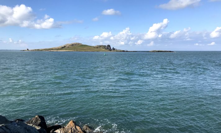 Ireland’s Eye: ilha selvagem perto de Dublin reúne focas, aves marinhas e ruínas medievais